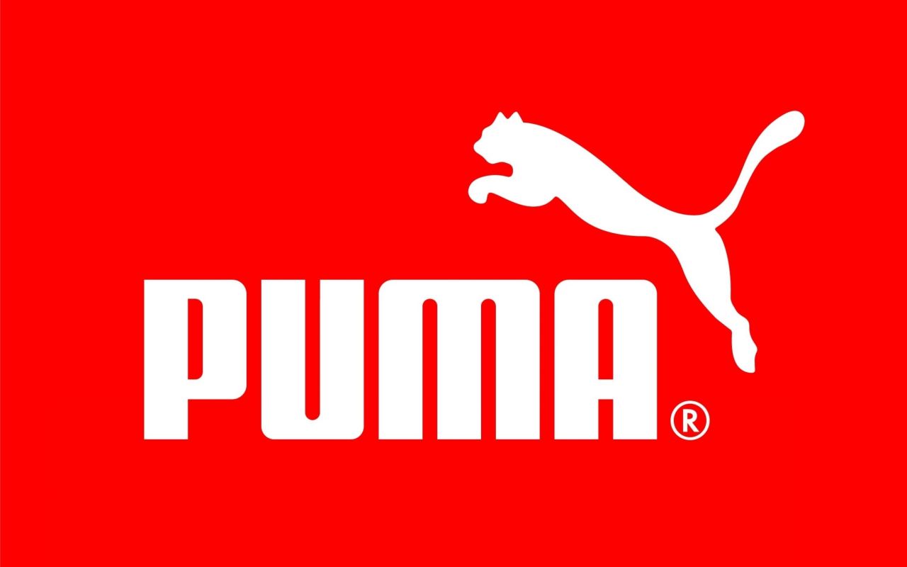 puma social media analysis